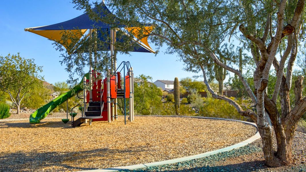 Materials commonly used for homes built from the Amherst by D.R. Horton in Aloravita, Peoria (Image 12).