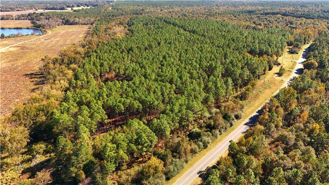 Natural landscape and outdoor views near  in Chester (Image 4).