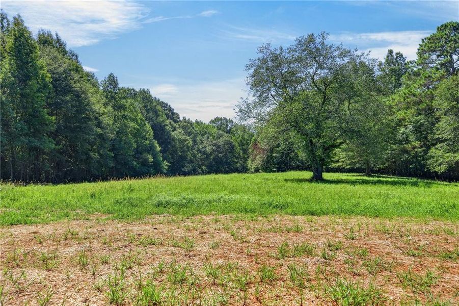 Natural landscape and outdoor views near  in Waco (Image 38).