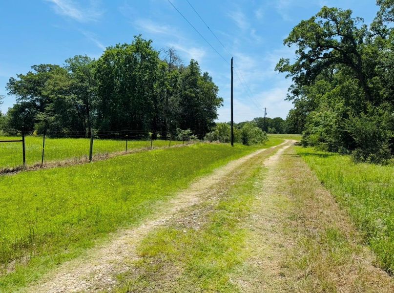 Natural landscape and outdoor views near in Lexington (Image 35). Natural landscape and outdoor views near in Lexington (Image 35).