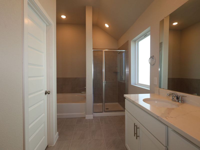 Owner's Bathroom