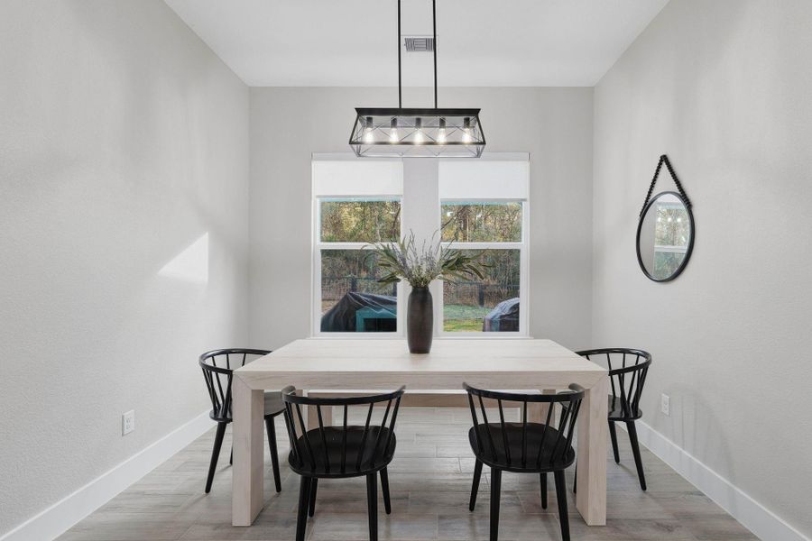 Furnished interior view inside a new home in , Plantersville (Image 15). Furnished interior view inside a new home in , Plantersville (Image 15).