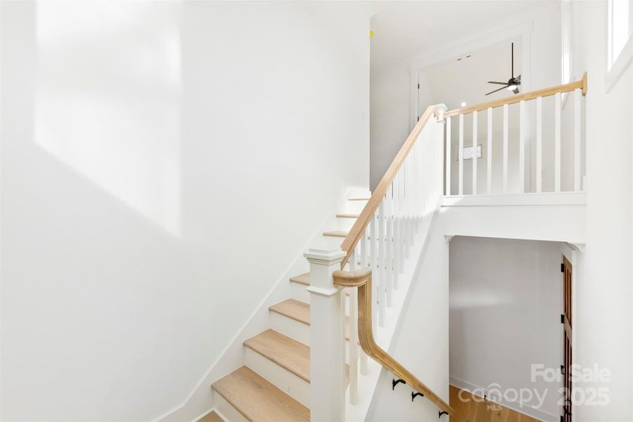 Spacious, unfurnished interior of a new home in , Belmont (Image 38).