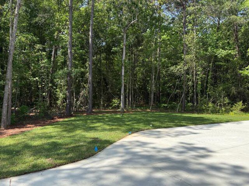 Natural landscape and outdoor views near  in Charleston (Image 45).