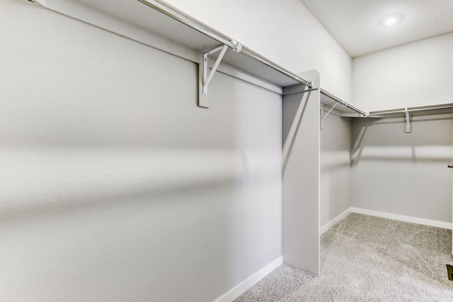 13763 DAFFODIL WAY, Parker, CO.  - Slide 22