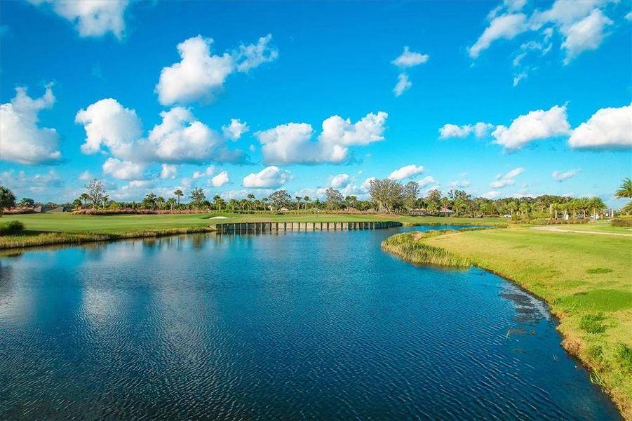 Natural landscape and outdoor views near in Bradenton (Image 47). Natural landscape and outdoor views near in Bradenton (Image 47).