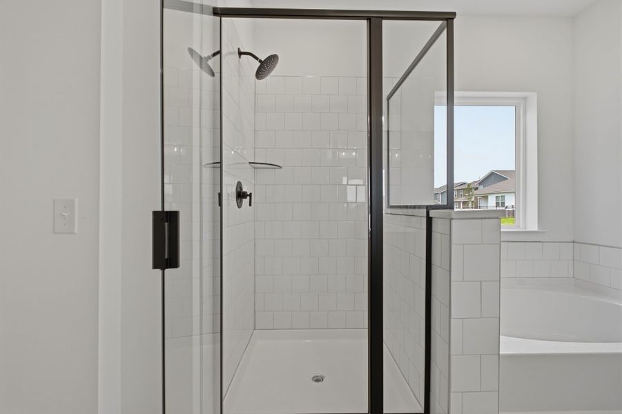 Owner's Bath Owner's Bath