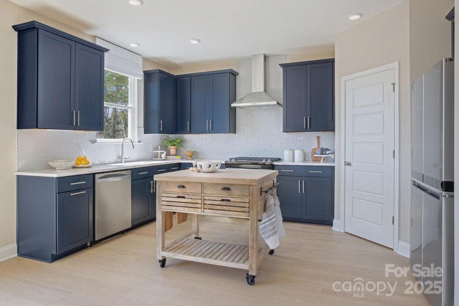 This picture is a representation of the house