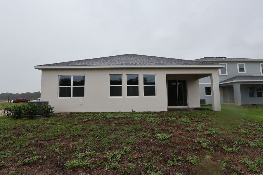 Back Exterior