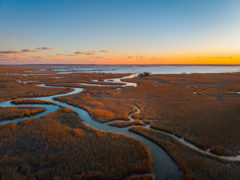 Natural landscape and outdoor views near Overlook at Copahee Sound in Awendaw (Image 77).