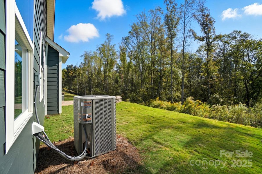 Exterior details and patio area of a home in Heritage - 55+ Community, Wesley Chapel (Image 1).