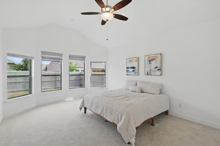 Bedroom featuring carpet floors, baseboards, vaulted ceiling, and multiple windows