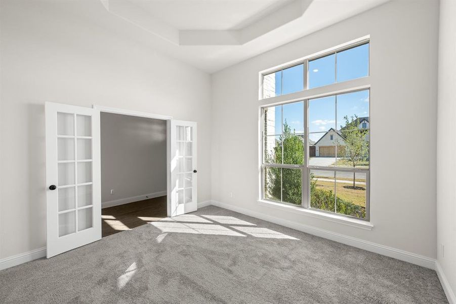 209 Pine Leaf- Study-1