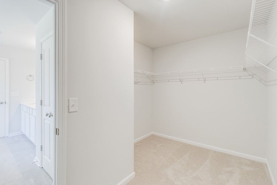 Spacious, unfurnished interior of a new home in Bluefield, Lexington (Image 24).