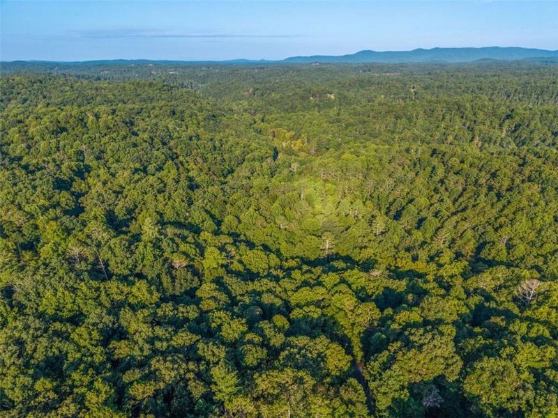 Natural landscape and outdoor views near in Ellijay (Image 46). Natural landscape and outdoor views near in Ellijay (Image 46).