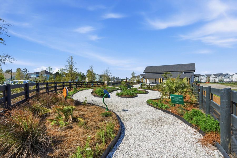 Community amenities in Horizons at Carnes Crossroads | 55+, Summerville (Image 30).
