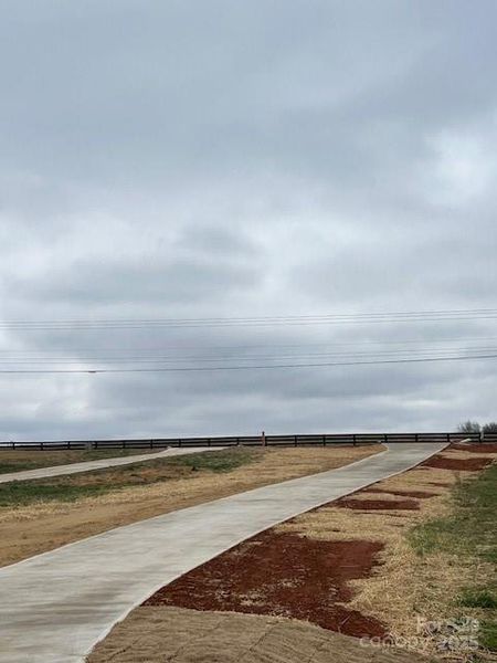 View from Front Porch