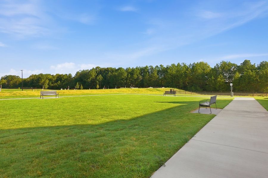 Natural landscape and outdoor views near Indian Trail Townhomes in Indian Trail (Image 30).