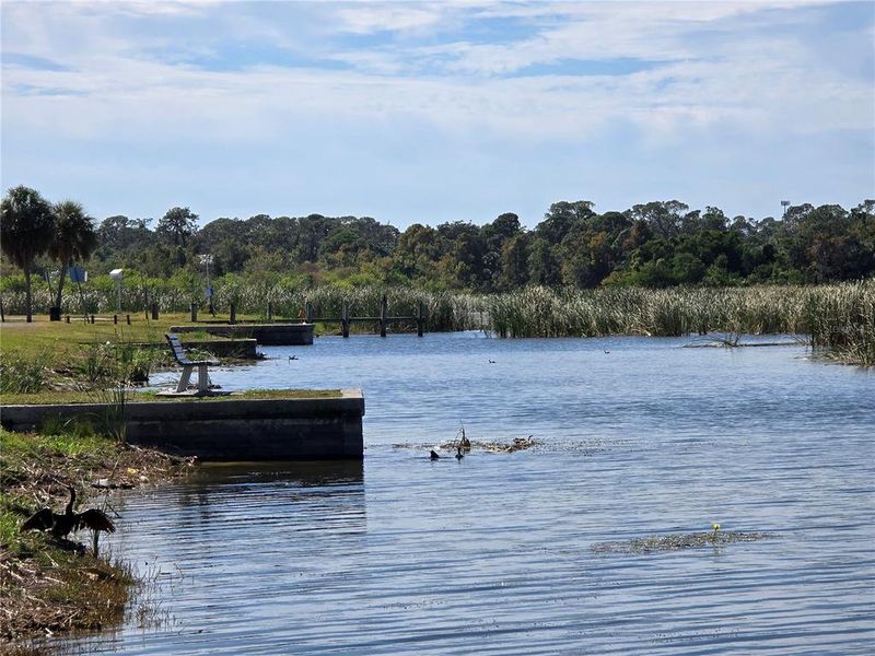 Natural landscape and outdoor views near in St. Petersburg (Image 40). Natural landscape and outdoor views near in St. Petersburg (Image 40).