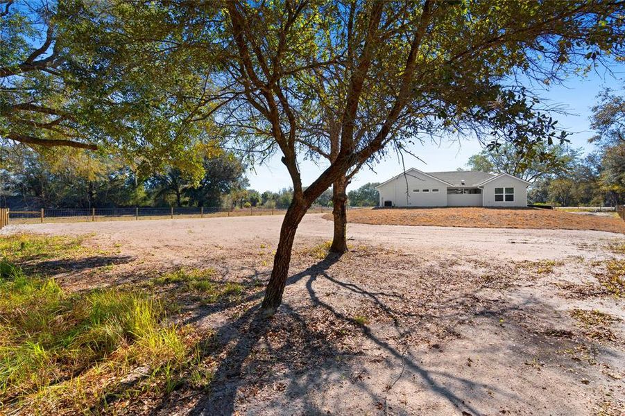 Natural landscape and outdoor views near  in Okeechobee (Image 43).