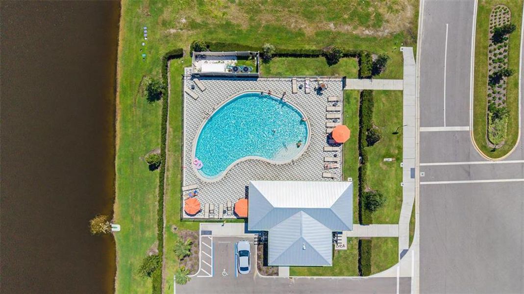 Community amenities in Mandarin Grove, Palmetto (Image 37).