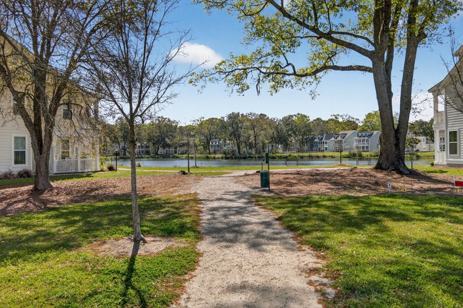 Natural landscape and outdoor views near Twin Lakes in Johns Island (Image 51).