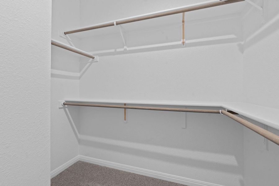 Walk in closet featuring carpet flooring