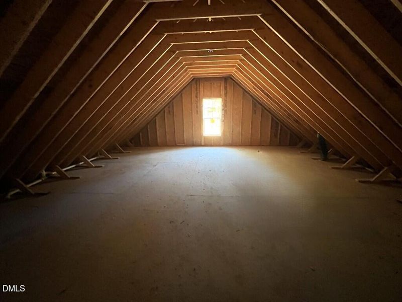 Photo Nov 04 2025, 11 15 09 AM (Medium) Photo Nov 04 2025, 11 15 09 AM (Medium)