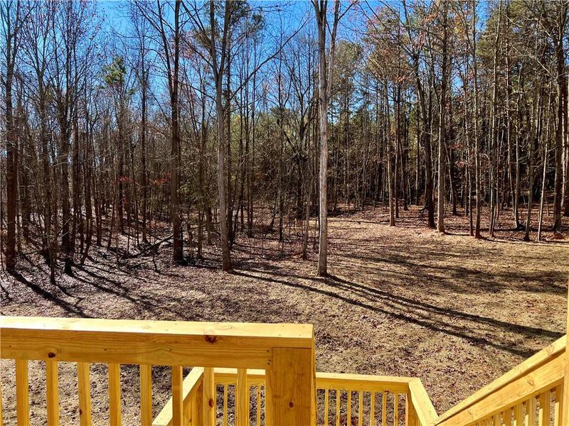 Exterior details and patio area of a home in , Pendergrass (Image 20).