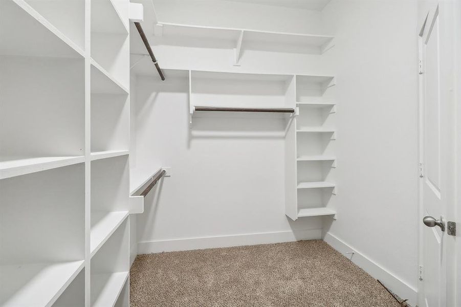 Spacious closet featuring carpet