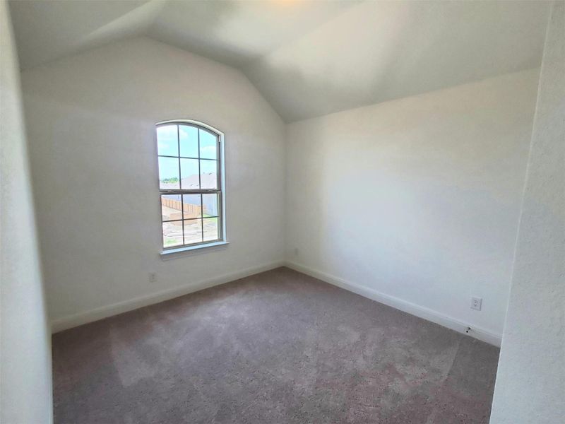 Carpeted spare room featuring lofted ceiling and baseboards Carpeted spare room featuring lofted ceiling and baseboards