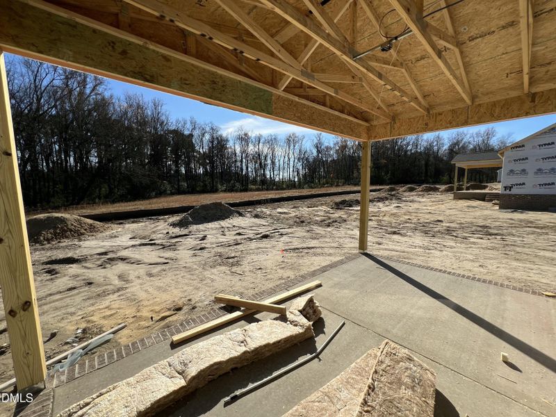 IMG_6335 2 IMG_6335 2