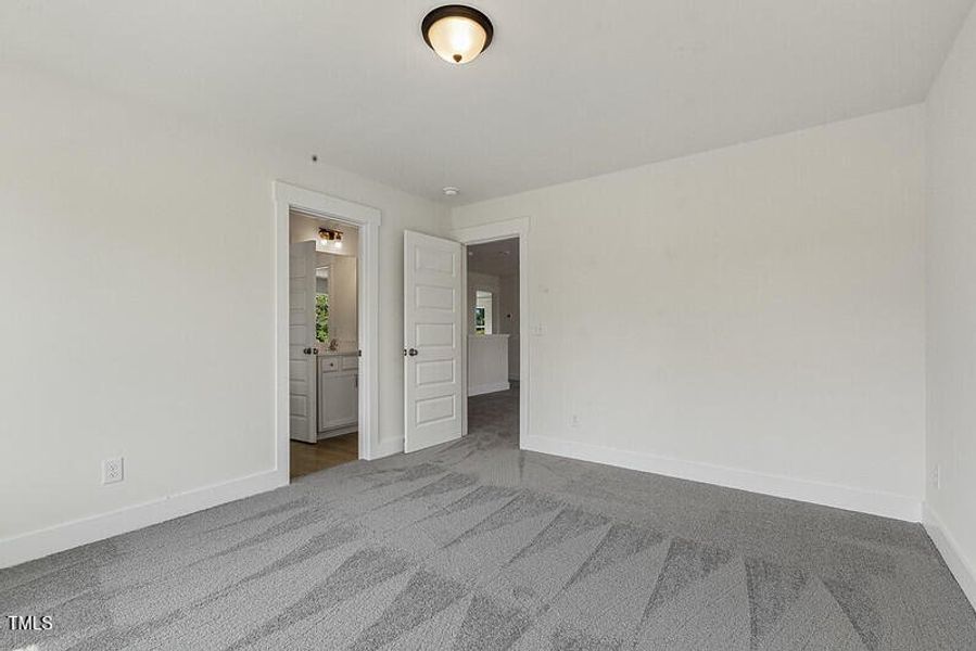 54562912992_96fec1764e_c