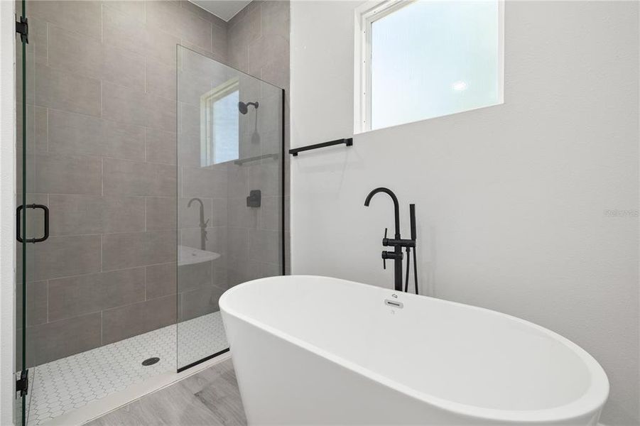 Furnished interior view inside a new home in , Ocala (Image 12).