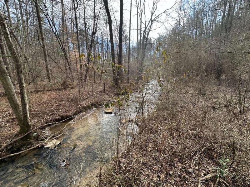 Natural landscape and outdoor views near  in Ellijay (Image 20).