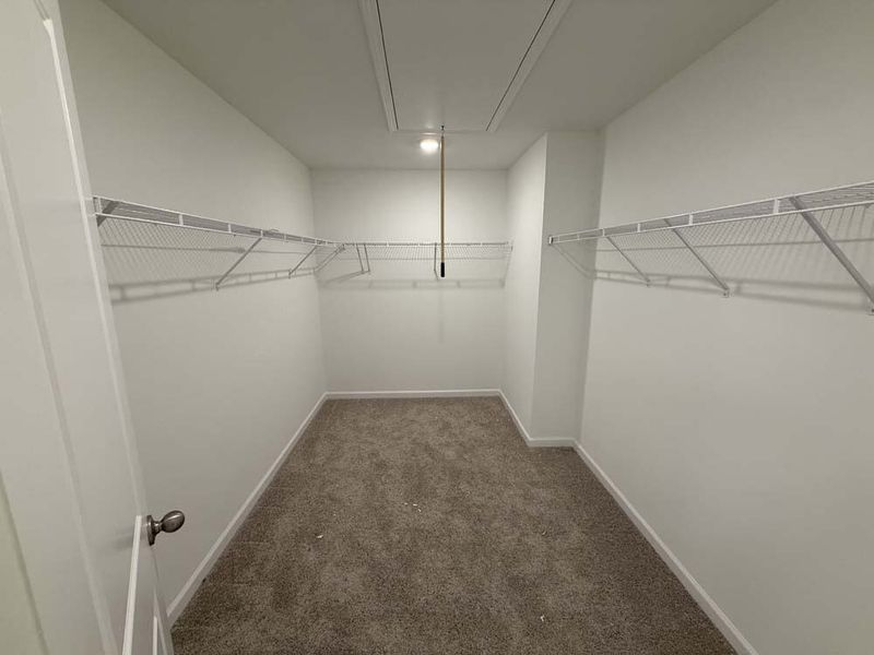 Primary Bedroom Walk-in Closet