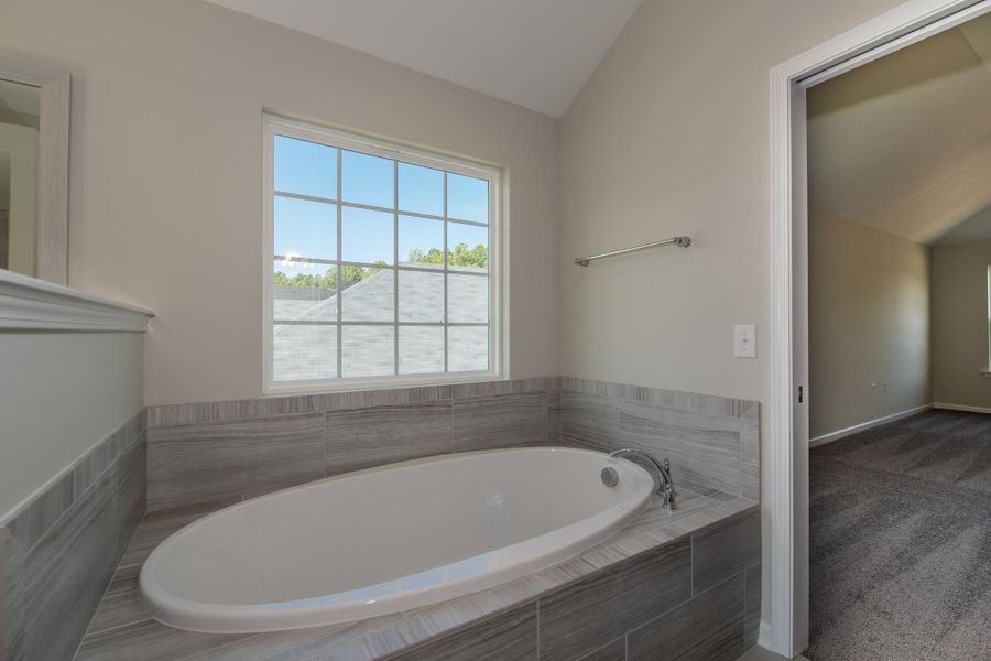 Blackbeard Blackbeard