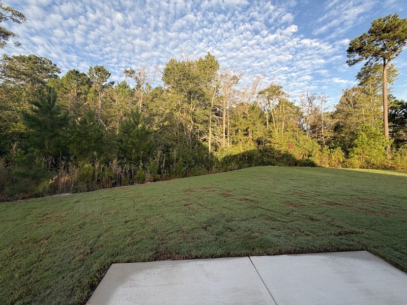 Natural landscape and outdoor views near Songbird in Hampstead (Image 12). Natural landscape and outdoor views near Songbird in Hampstead (Image 12).