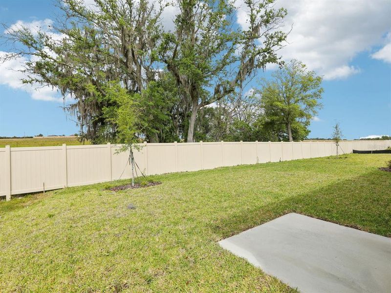 Exterior details and patio area of a home in The Reserve at Van Oaks, Auburndale (Image 4).