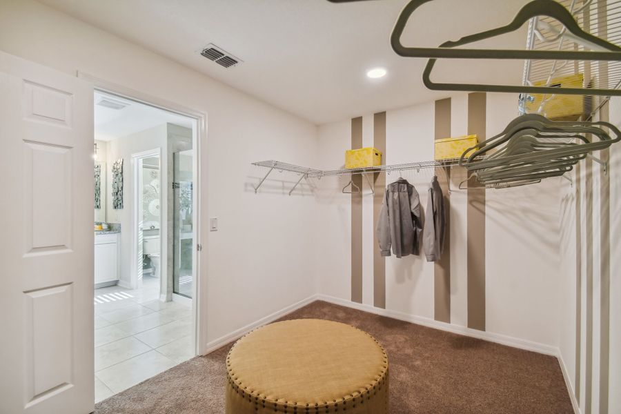 Owner's Closet
