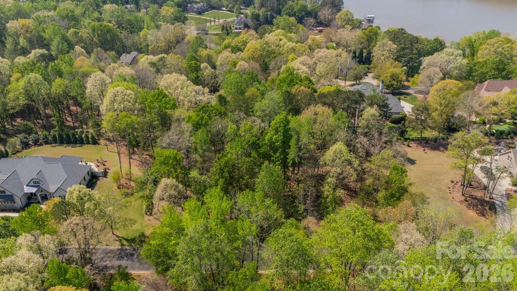 Natural landscape and outdoor views near  in Belmont (Image 9).