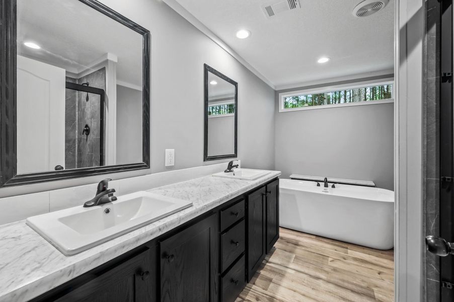 Furnished interior view inside a new home in , Eutawville (Image 4).