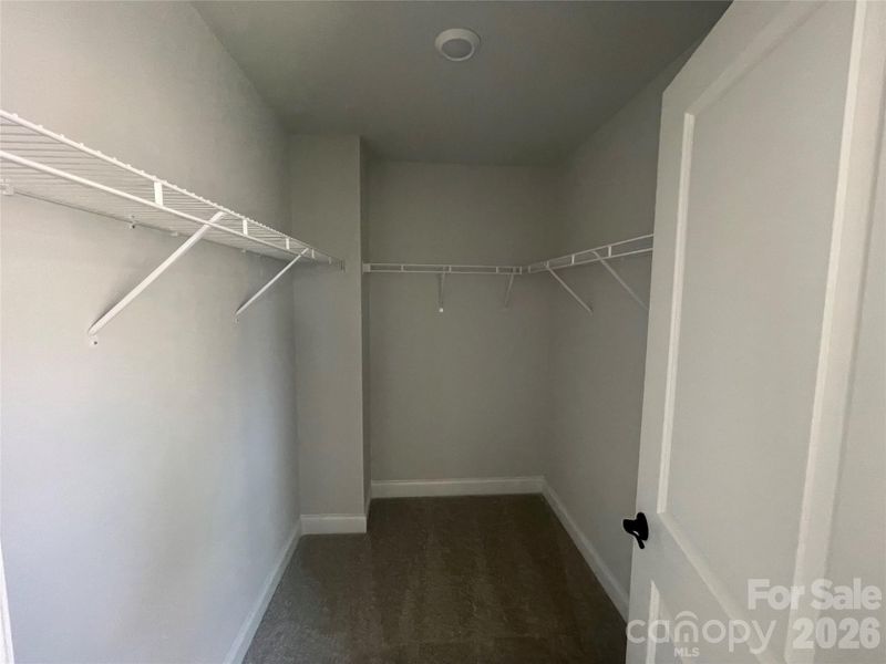 Primary Walk-in Closet