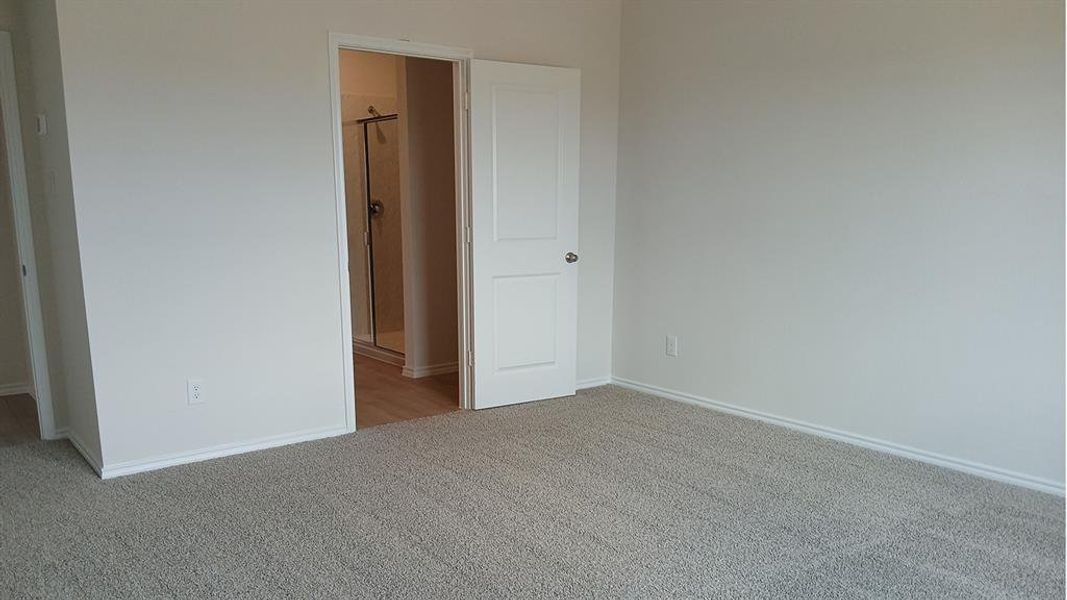 Carpeted room with white painted walls and trim, featuring a white paneled door Carpeted room with white painted walls and trim, featuring a white paneled door