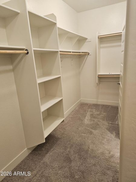 20260129_174932_resized 20260129_174932_resized