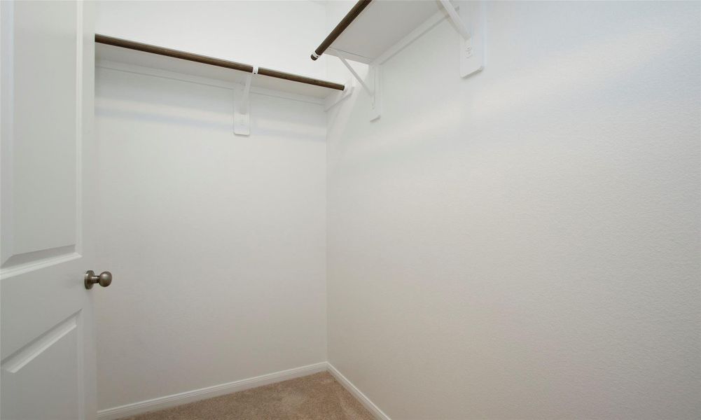 Spacious, unfurnished interior of a new home in Windrow, Hockley (Image 32).