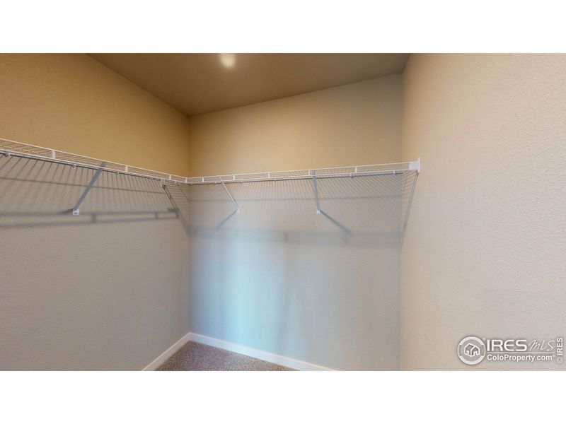 Stock Photo, may contain additional upgrades - Walk-in Closet