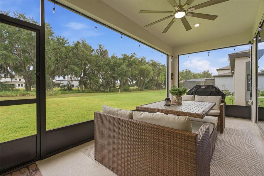 Exterior details and patio area of a home in Hawkstone, Lithia (Image 31).