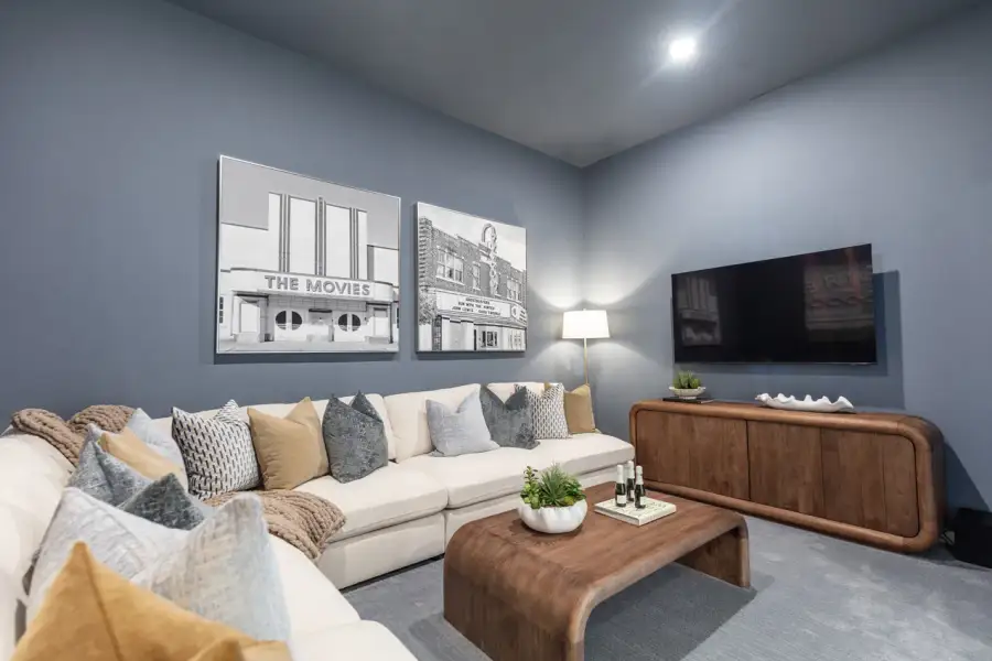 Representative Entertainment Room - some options shown Representative Entertainment Room - some options shown