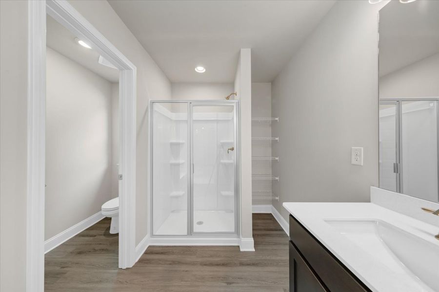 Furnished interior view inside a new home in Scarlett Place, Bowdon (Image 14).